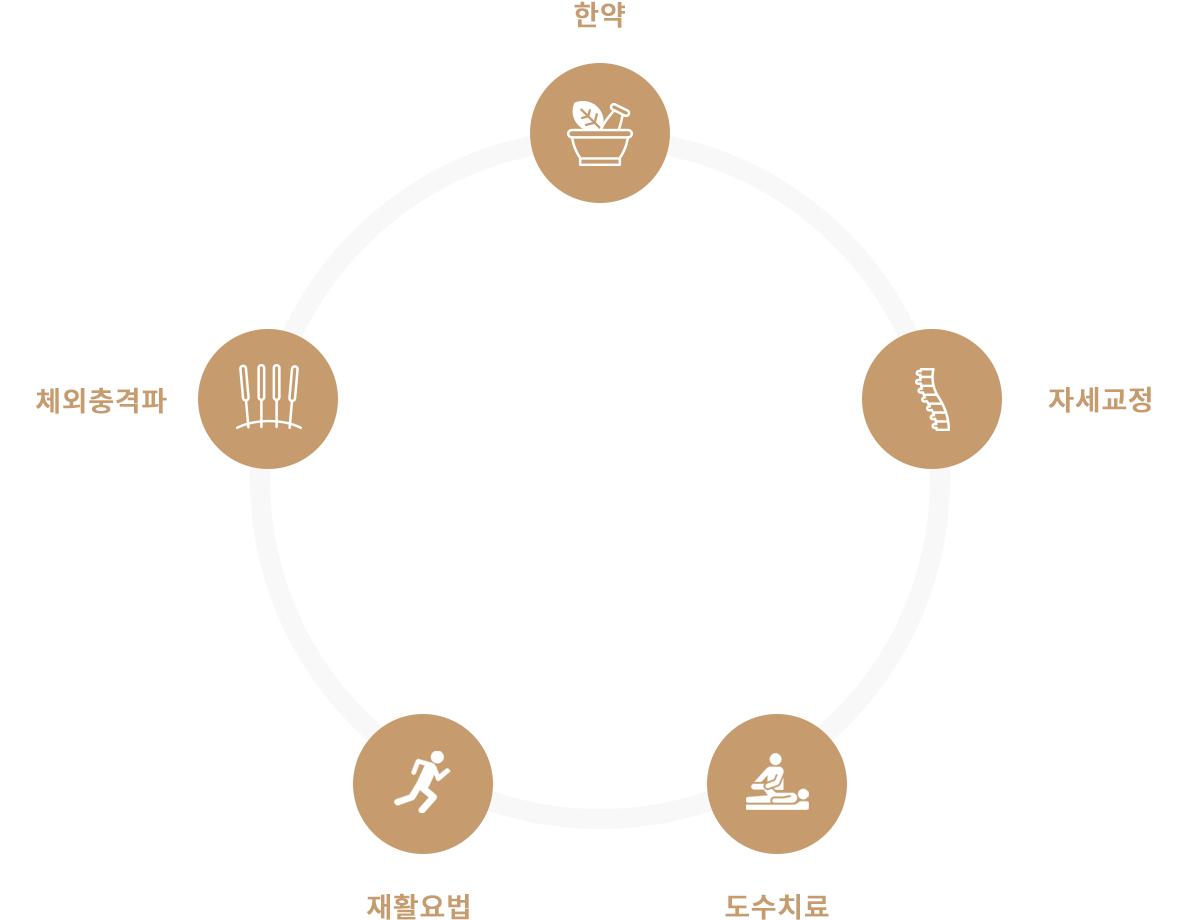 한약, 침도요법, 신경추나, 재활운동, 도수치료